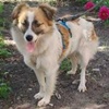 Betty W Ukraine